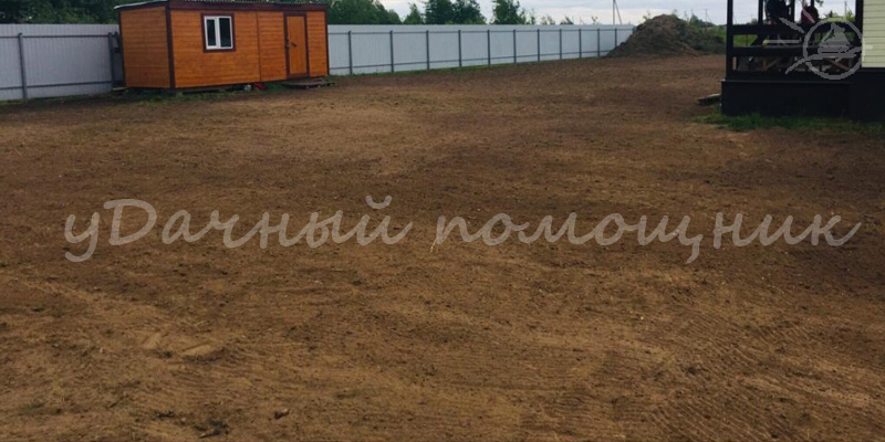 обработанный гербицидами сад
